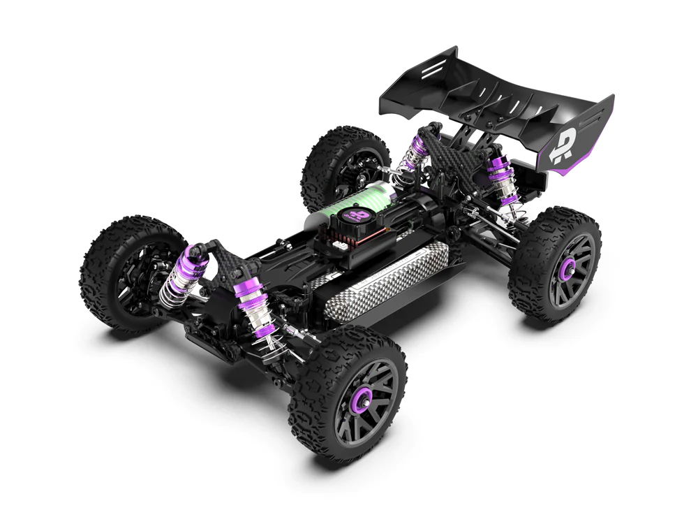 RLAARLO RC Buggy