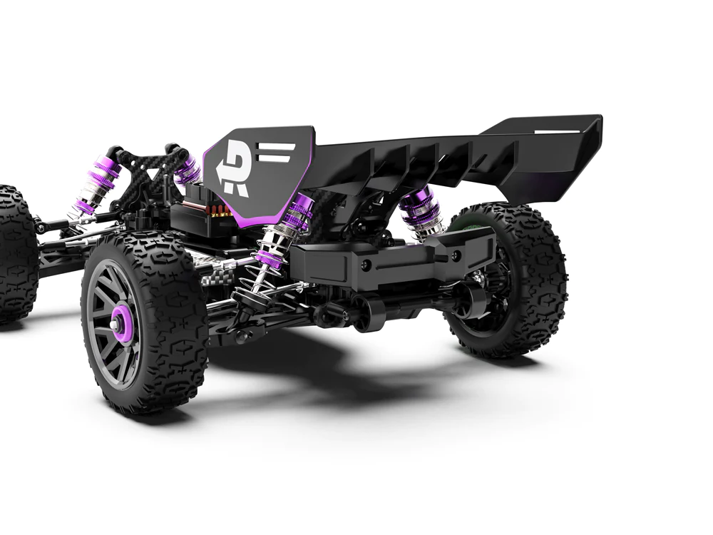 RLAARLO RC Buggy