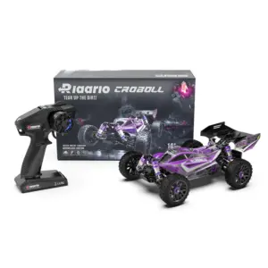 Rlaarlo 1/14 Brushless Buggy, 80+ KMH RTR, #XDKJ-006 - carbon chassis – RC Buggies