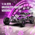 Rlaarlo 1/14 Brushless Buggy, 80+ KMH RTR, #XDKJ-006 - carbon chassis – RC Buggies