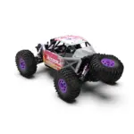 Rlaarlo AM-D12 1/12 RTR Brushless RC Desert Truck , Max 45MPH Fast RC Car (gold/yellow) – RC Buggies