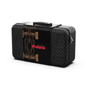 Rlaarlo AM-X12 High Performance RC Car (Blue) (Roller only) – RC Buggies