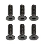 Team Associated Qualifier Apex 2.5 X 8mm FHCS (10) – Team Associated Parts