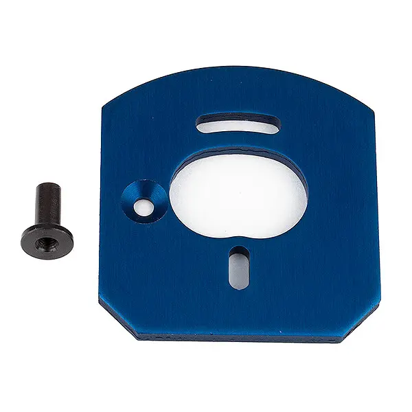 Team Associated Apex 2 Motor Mount – Team Associated Parts