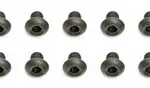 Team Associated BHCS 2.5x0.3mm Screws (10) – Team Associated Parts