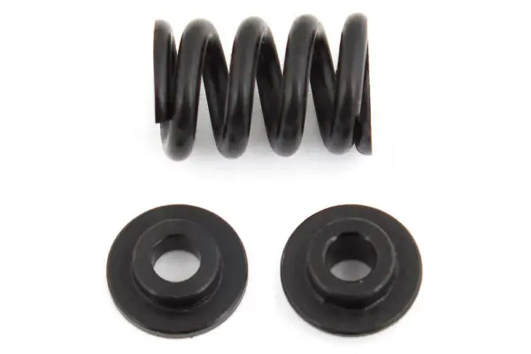 Team Associated B6.1 Slipper Spring – view 2