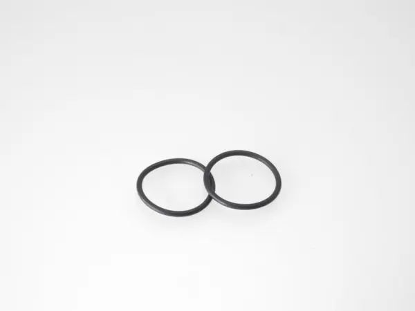 O-Ring Backplate torque/boost.21 - p2.26