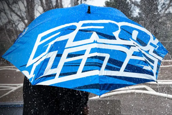 Proline Umbrella – view 6