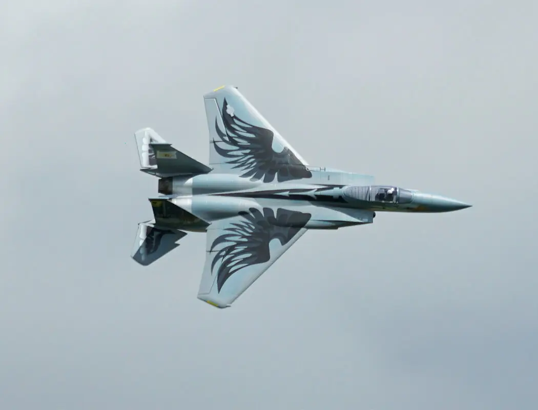 Xfly Twin 40mm F-15 Edf 710mm Jet Without Tx/Rx/Battery - Grey – RC Planes