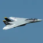 Xfly Twin 40mm F-14 Tomcat Edf 700mm Jet Without Tx/Rx/Battery – RC Planes