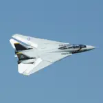 Xfly Twin 40mm F-14 Tomcat Edf 700mm Jet Without Tx/Rx/Battery – RC Planes