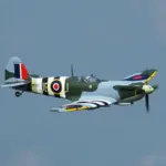 Xfly Supermarine Spitfire Mkix Green 1200mm Without Tx/Rx/Batt – RC Planes