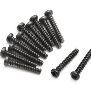 BLACKZON Pan Head Self Tapping Screws PBHO2*12mm