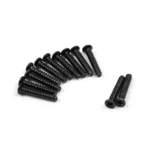 BLACKZON Countersunk Self Tapping 2x12mm (12pcs)