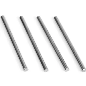 BLACKZON Lower Suspension Hinge Pins (4pcs)
