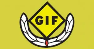 Gropens IF Radiostyrd Bilsport